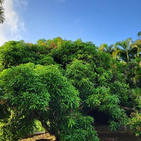 Апартаменты La Bourgeoisie Creole Grande Savane Экстерьер фото